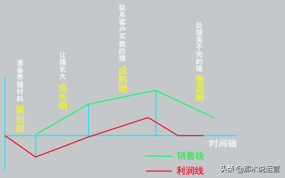 电商店铺规划书怎么写（网络创业规划书的内容要求参考）